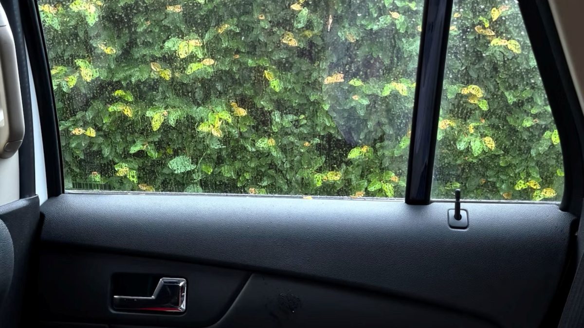 Vidro da porta traseira de um carro parcialmente aberto, com vegetação visível do lado de fora.