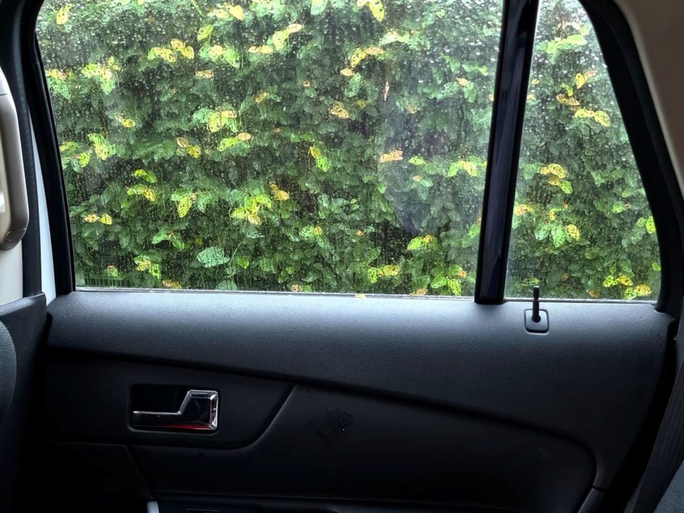 Vidro da porta traseira de um carro parcialmente aberto, com vegetação visível do lado de fora.