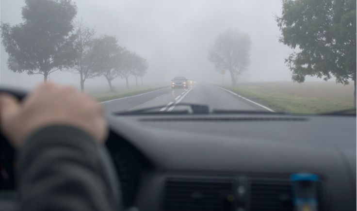 palhetas de para-brisa